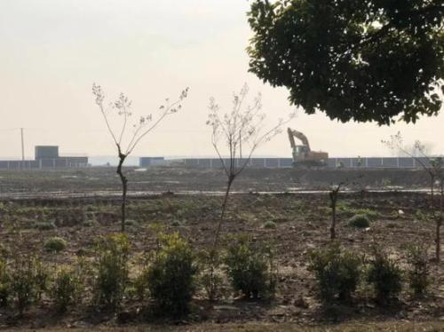 总投资将达500亿的特斯拉上海工厂尚未进一步