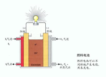 新研究细菌酶制甲酸机制 可用于造燃料电池