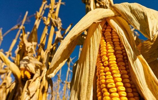 科学家发现便宜氢燃料：推动氢动力车发展