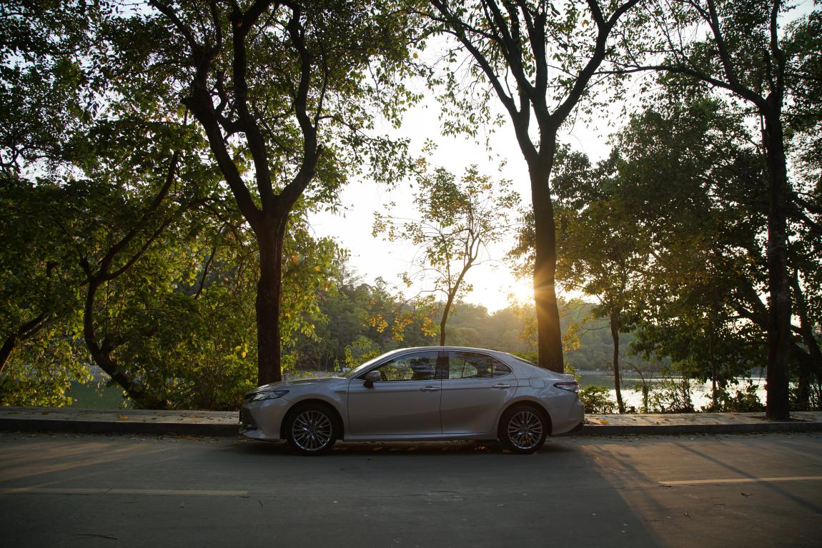 image009.jpg image009.jpg