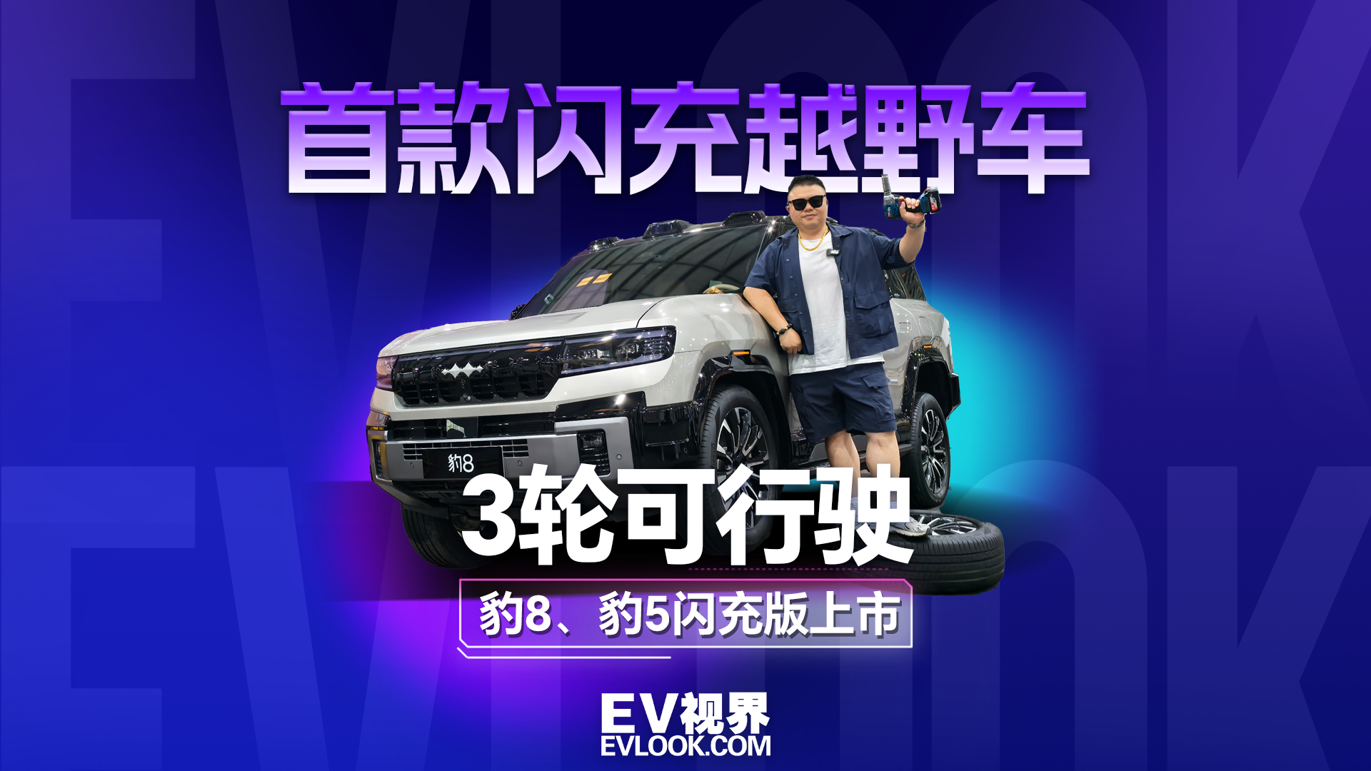 方程豹豹5/豹8闪充版上市：800V高压+9分钟极速补能